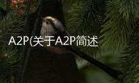 A2P(關(guān)于A2P簡述)