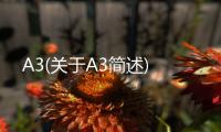A3(關(guān)于A3簡(jiǎn)述)