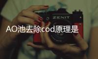 AO池去除cod原理是什么（厭氧池去除cod原理）
