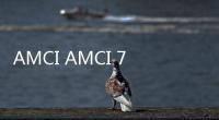 AMCI AMCI 7662@AMCI 7662