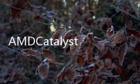 AMDCatalyst?11.3驅動程式
