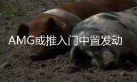 AMG或推入門中置發(fā)動機(jī)跑車 競爭保時捷718