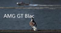 AMG GT Black Series動力曝光 3.3秒破百