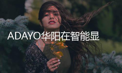 ADAYO華陽在智能顯示領域的產品布局