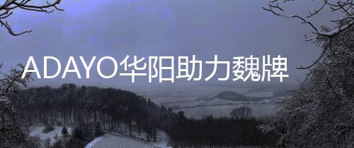 ADAYO華陽助力魏牌藍山智駕版登場