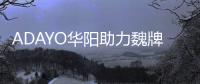 ADAYO華陽助力魏牌藍山智駕版登場