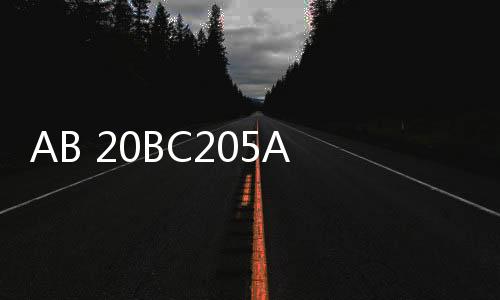 AB 20BC205A0AYNANC0新聞動態