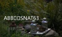 ABB		SNAT630PAC  SNAT 630 PAC