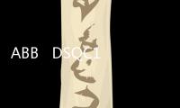 ABB   DSQC1003 3HAC046408
