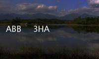 ABB     3HAC024775