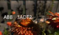 ABB   3ADT220134R0002使用方法