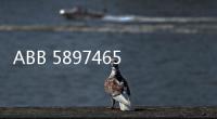ABB 58974650 NBRA