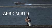 ABB CMIB11C 3UA0000041488