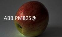 ABB PM825@ PM825行情介紹