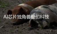 AI芯片獨角獸壁仞科技啟動上市輔導