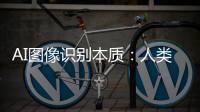 AI圖像識(shí)別本質(zhì)：人類看的是形狀，算法看的是紋理