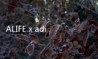 ALIFE x adidas全新聯名Nizza Hi鞋款發售在即，第二波新品