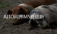 AITO問界M5終結新能源焦慮 搭HarmonyOS座艙