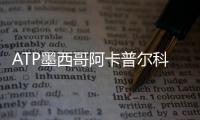 ATP墨西哥阿卡普爾科公開賽(關(guān)于ATP墨西哥阿卡普爾科公開賽簡述)