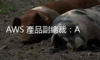 AWS 產品副總裁：AI 只是數學技巧並不會造成威脅
