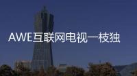 AWE互聯網電視一枝獨秀 暴風AI電視領跑人工智能