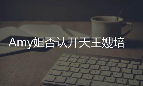 Amy姐否認開天王嫂培訓班：你當那些天王都是傻子嗎?