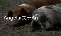 Angela(關于Angela簡述)