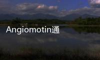 Angiomotin通過Hippo