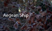 Aegean Shipping在中國船廠訂購首艘LR2冰級(jí)新船