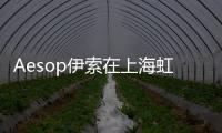 Aesop伊索在上海虹橋機(jī)場(chǎng)開出國(guó)內(nèi)首家機(jī)場(chǎng)店，西南、廣州首店已圍擋