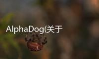 AlphaDog(關于AlphaDog簡述)
