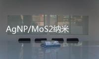 AgNP/MoS2納米口袋自動捕獲目標物分子的表面增強拉曼光譜方法