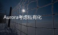 Aurora考慮私有化/分拆等方案 或出售微軟