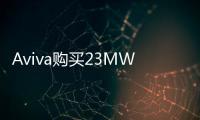 Aviva購買23MW英國Homesun的太陽能光伏系統(tǒng)