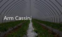Arm Cassini項目合作伙伴數(shù)在2021年實現(xiàn)翻倍增長