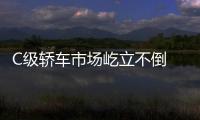 C級轎車市場屹立不倒 試駕寶馬530Li