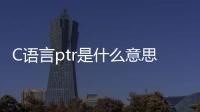 C語言ptr是什么意思（ptr是什么意思）