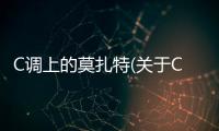 C調上的莫扎特(關于C調上的莫扎特簡述)