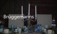 Brüggemannstefan(關于Brüggemannstefan簡述)