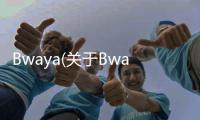 Bwaya(關(guān)于Bwaya簡述)