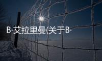 B·艾拉里曼(關于B·艾拉里曼簡述)