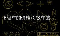 B級車的價格/C級車的空間 2臺旗艦家轎推薦