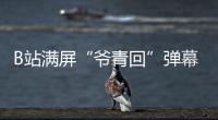 B站滿屏“爺青回”彈幕 年輕人為什么認真跨年？