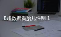 B超數據看胎兒性別 11周