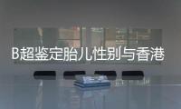 B超鑒定胎兒性別與香港DNA驗血胎兒5周測性別區別及可靠性