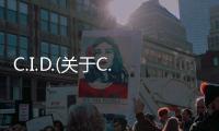 C.I.D.(關(guān)于C.I.D.簡述)