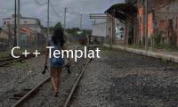 C++ Templates中文版(關(guān)于C++ Templates中文版簡述)