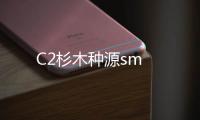 C2杉木種源sm