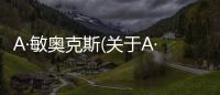 A·敏奧克斯(關(guān)于A·敏奧克斯簡(jiǎn)述)