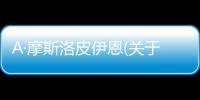 A·摩斯洛皮伊恩(關于A·摩斯洛皮伊恩簡述)
